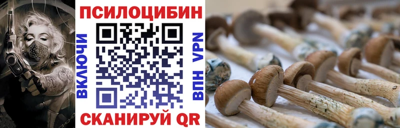Галлюциногенные грибы мицелий  Серпухов 